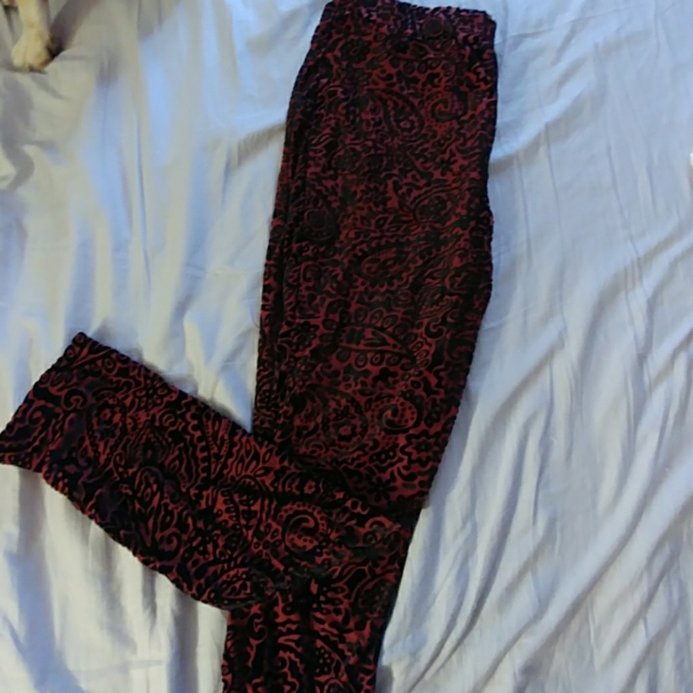 Venus velour leggings